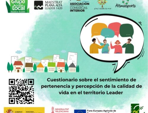 Enquesta UJI-CASUR: qualitat de vida al poble