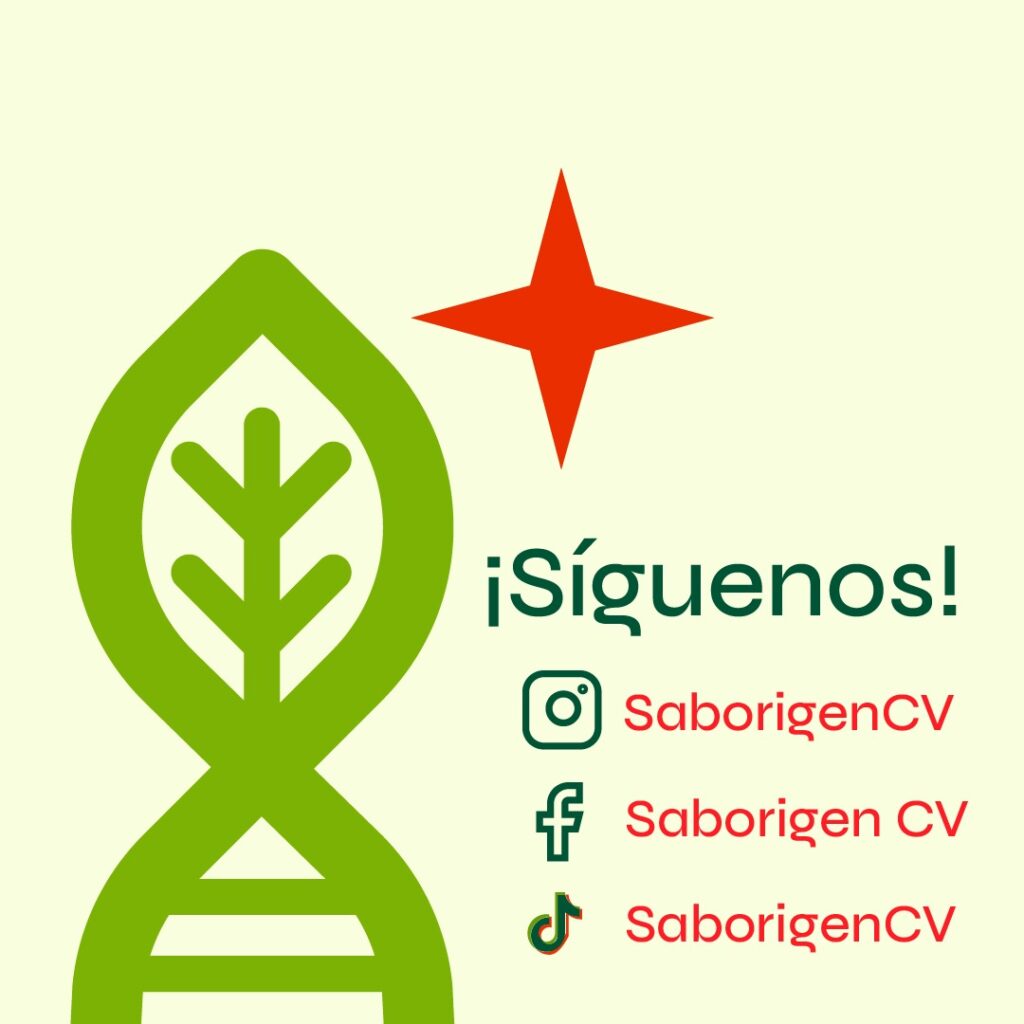 Saborigen-2-1024×1024