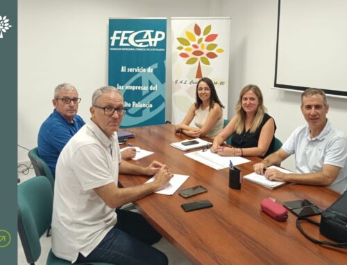 El GAL Castellón Sur se reúne con responsables de la Generalitat para hacer balance de la convocatoria LEADER